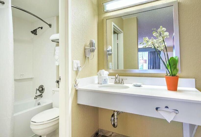 בית מלון כפרי Palm Tree Club Miami