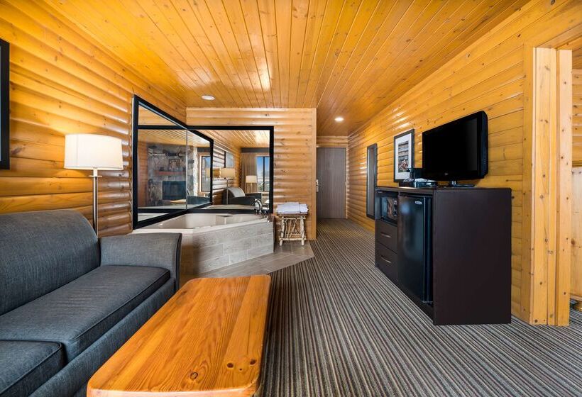 فندق Best Western Park Oasis Inn