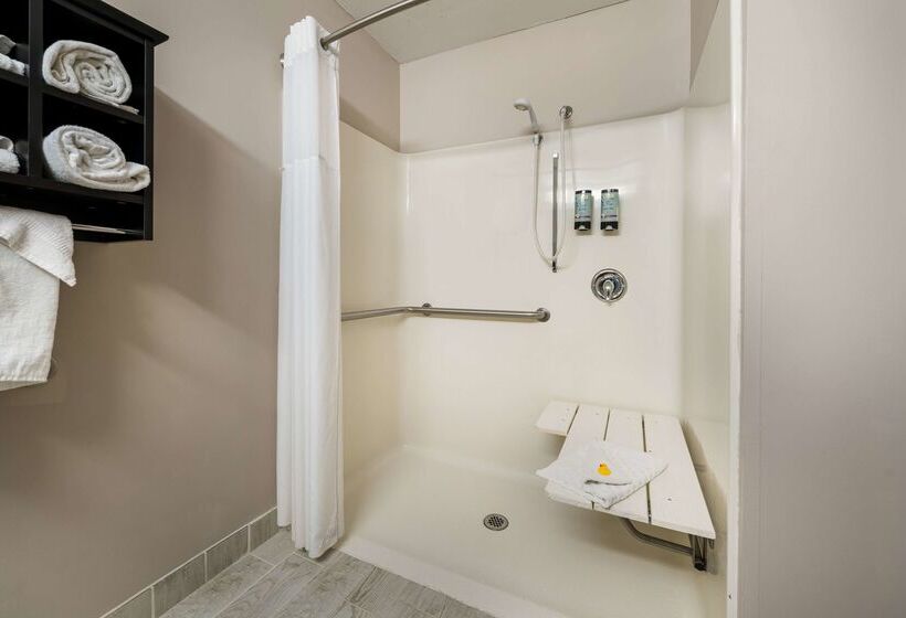 فندق Best Western Park Oasis Inn