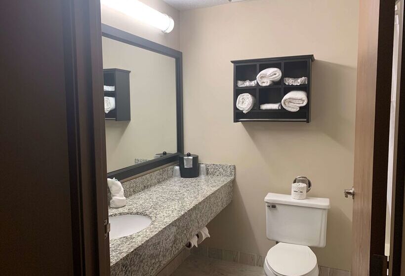 فندق Best Western Park Oasis Inn