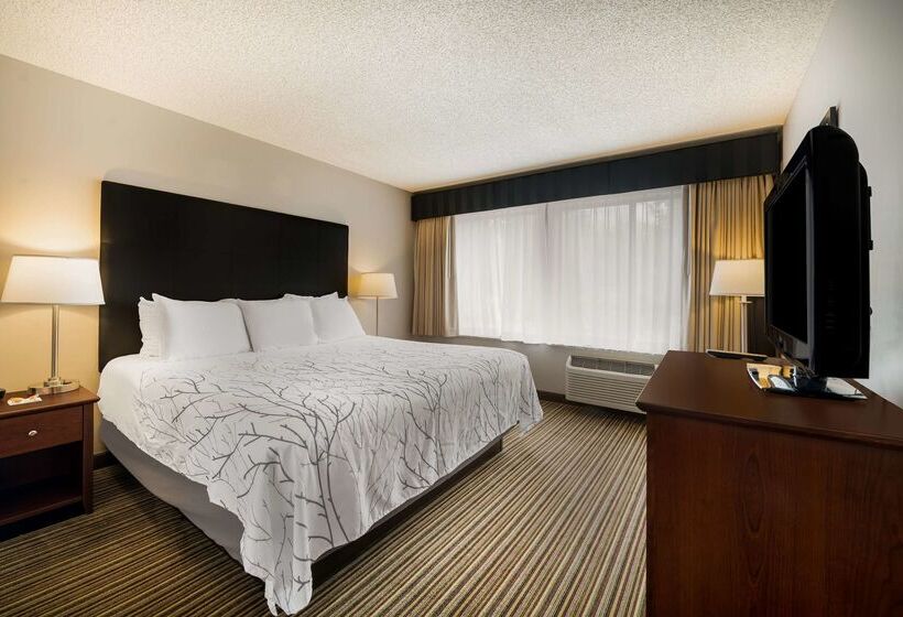 فندق Best Western Park Oasis Inn