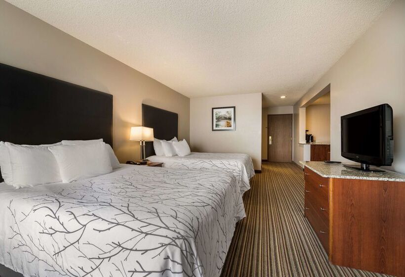 فندق Best Western Park Oasis Inn