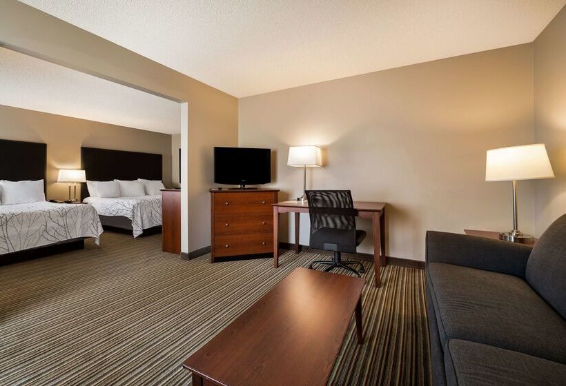 فندق Best Western Park Oasis Inn