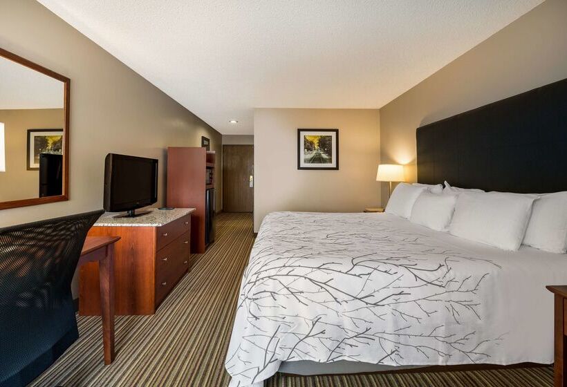 فندق Best Western Park Oasis Inn