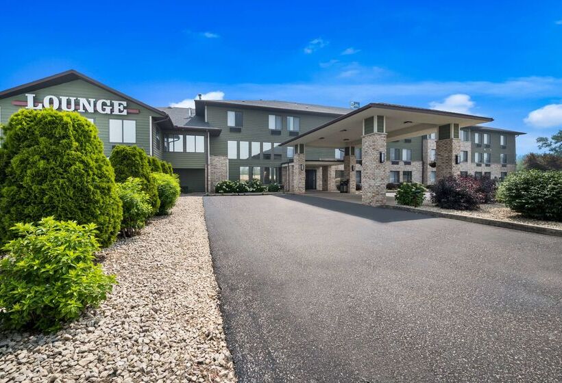 فندق Best Western Park Oasis Inn