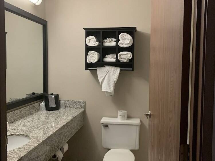 فندق Best Western Park Oasis Inn