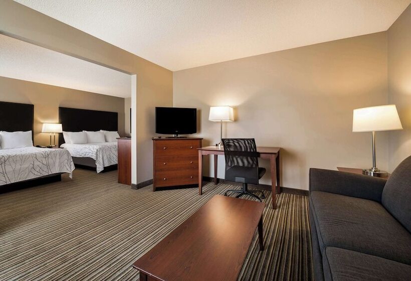 فندق Best Western Park Oasis Inn