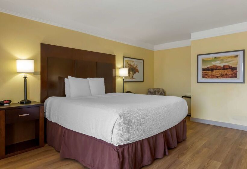 فندق Best Western Phoenix Goodyear Inn