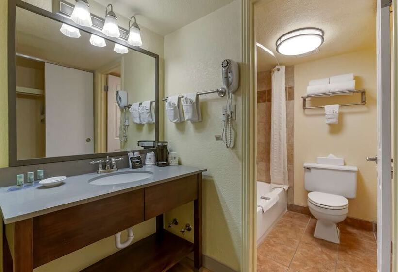 فندق Best Western Phoenix Goodyear Inn