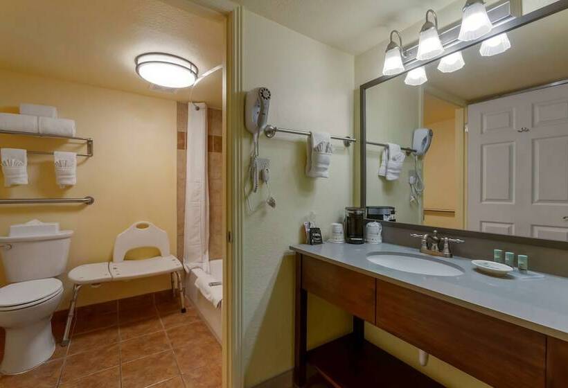 فندق Best Western Phoenix Goodyear Inn