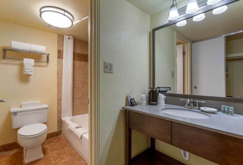 فندق Best Western Phoenix Goodyear Inn