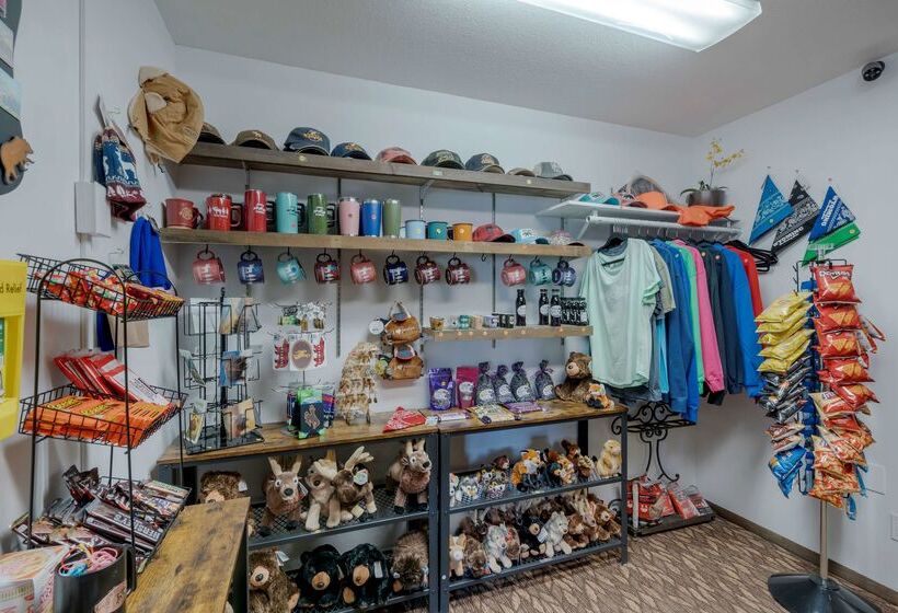 فندق Best Western Pinedale Inn