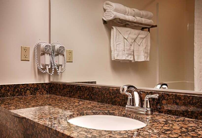 فندق Best Western Plus Gas City