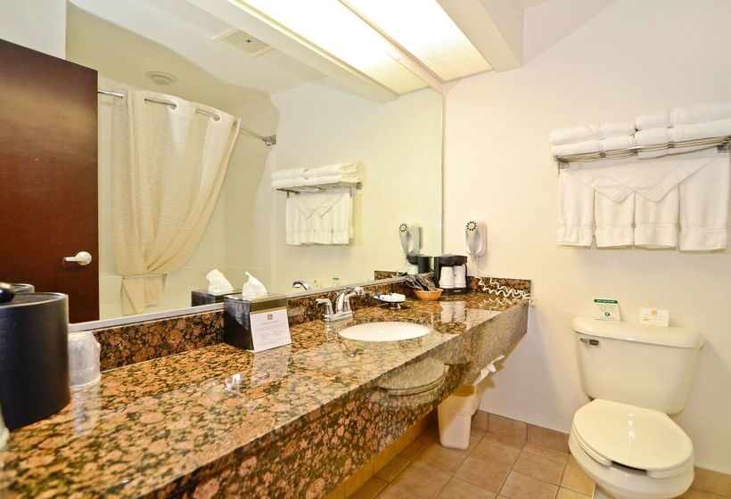 فندق Best Western Plus Gas City