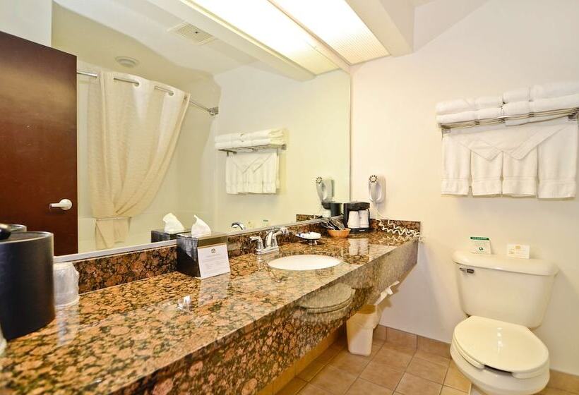 فندق Best Western Plus Gas City