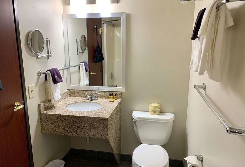 فندق Best Western Plus Great Northern Inn