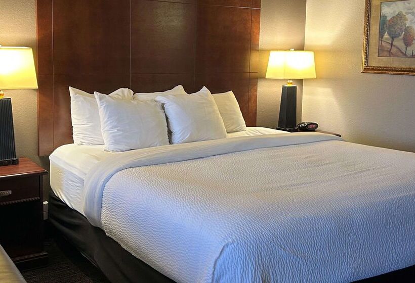 فندق Best Western Plus Kelly Inn