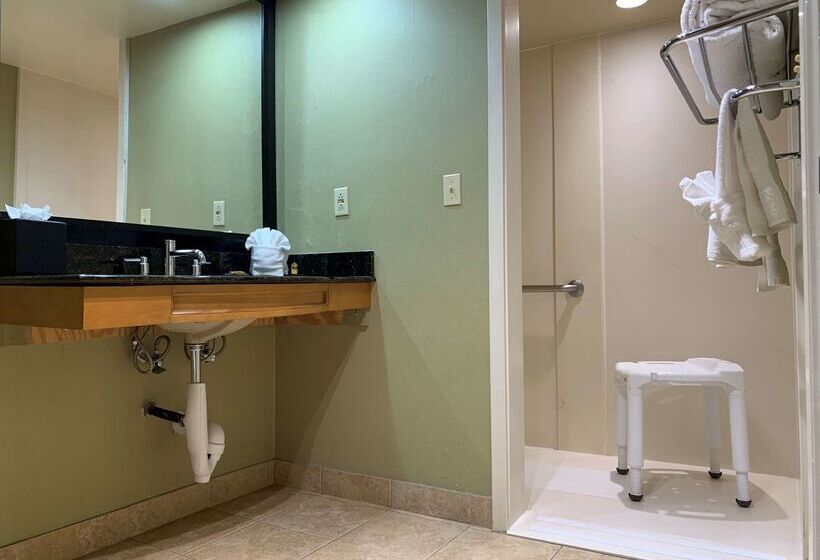 酒店 Best Western Plus Las Brisas