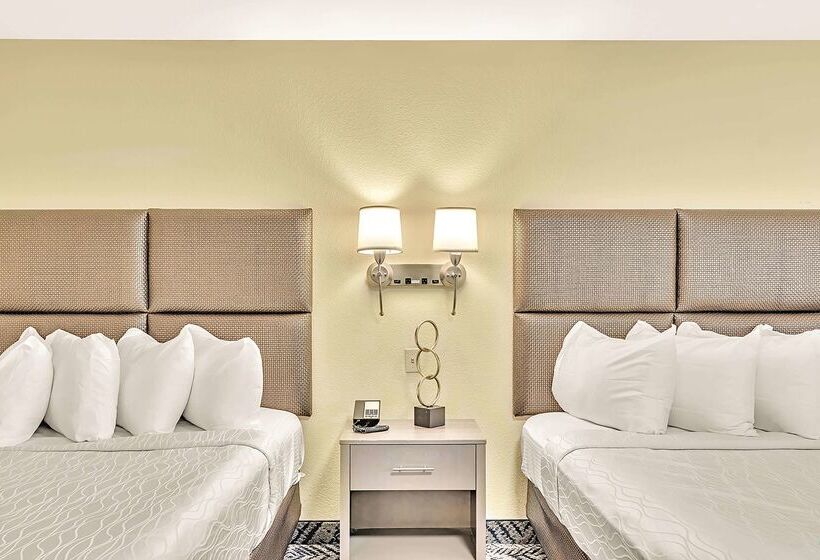 ホテル Best Western Plus Lewisville Flower Mound