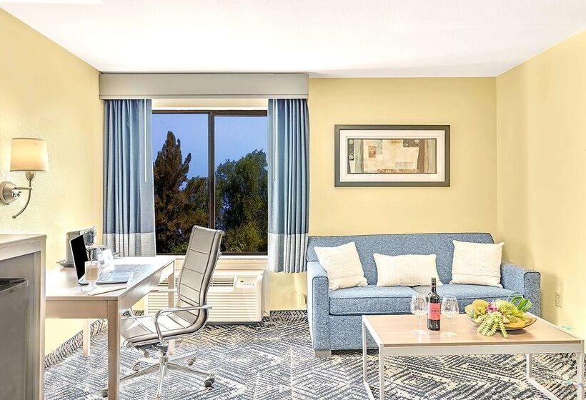 酒店 Best Western Plus Lewisville Flower Mound