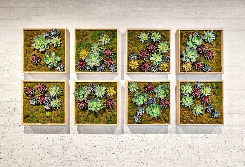 ホテル Best Western Plus Lewisville Flower Mound