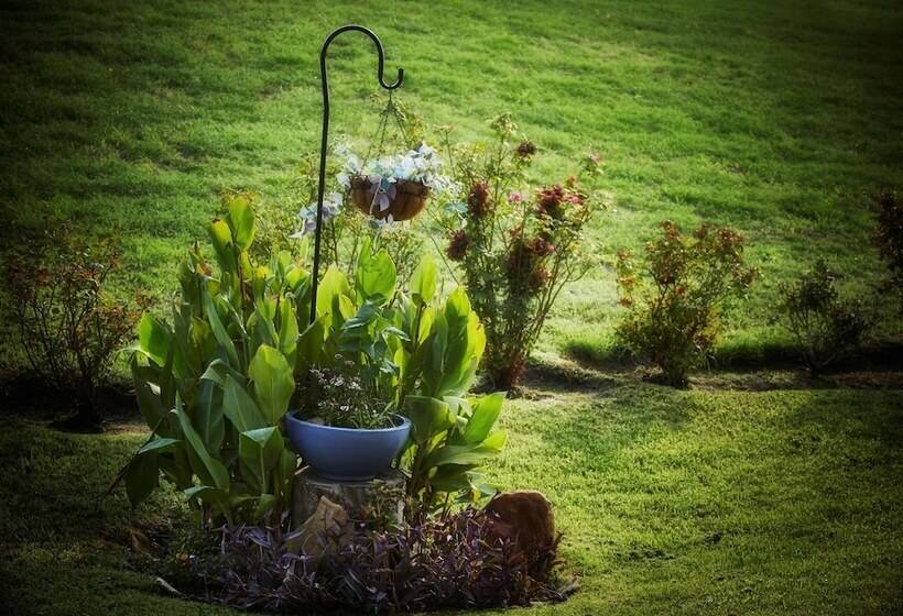 酒店 Best Western Plus Lewisville Flower Mound