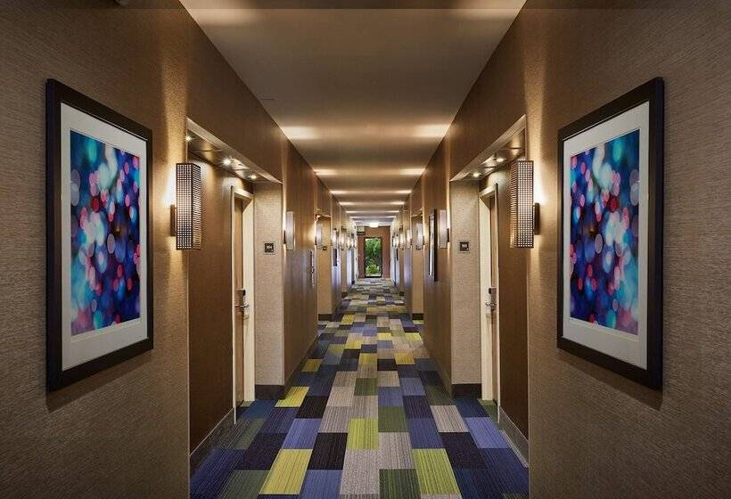 ホテル Best Western Plus Lewisville Flower Mound