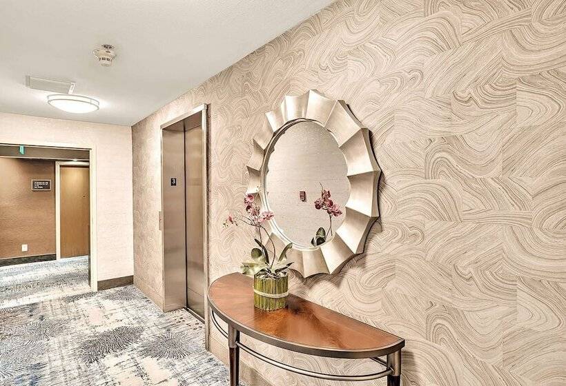 酒店 Best Western Plus Lewisville Flower Mound