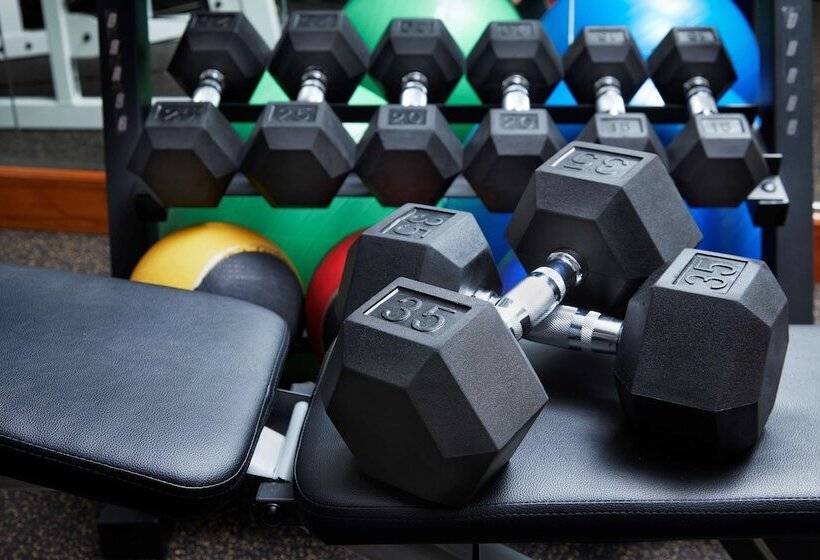 酒店 Best Western Plus Lewisville Flower Mound