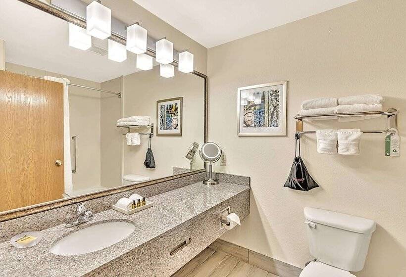 酒店 Best Western Plus Lewisville Flower Mound