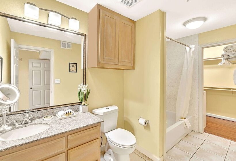 酒店 Best Western Plus Lewisville Flower Mound