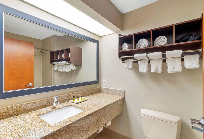 فندق Best Western Plus Mcdonough Inn & Suites