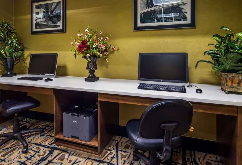 فندق Best Western Plus Mcdonough Inn & Suites