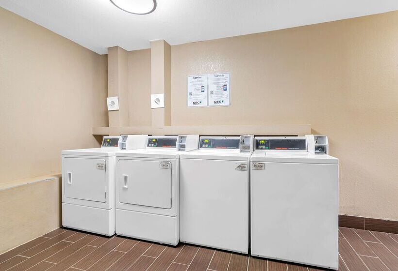 فندق Best Western Plus Mcdonough Inn & Suites