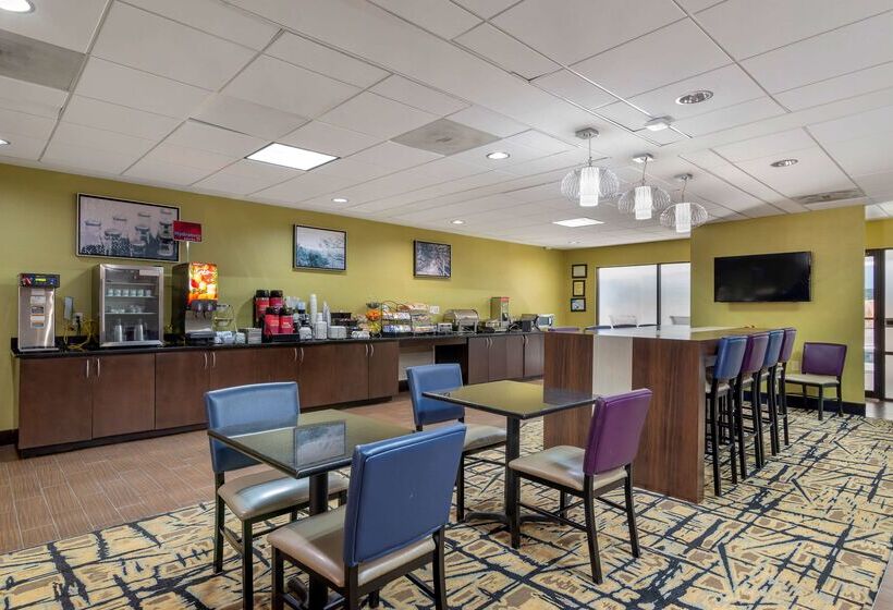فندق Best Western Plus Mcdonough Inn & Suites