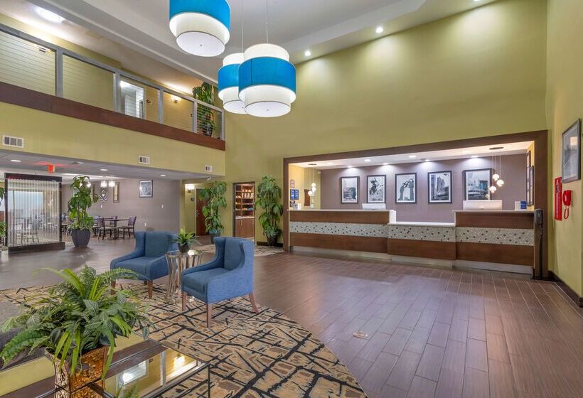 فندق Best Western Plus Mcdonough Inn & Suites