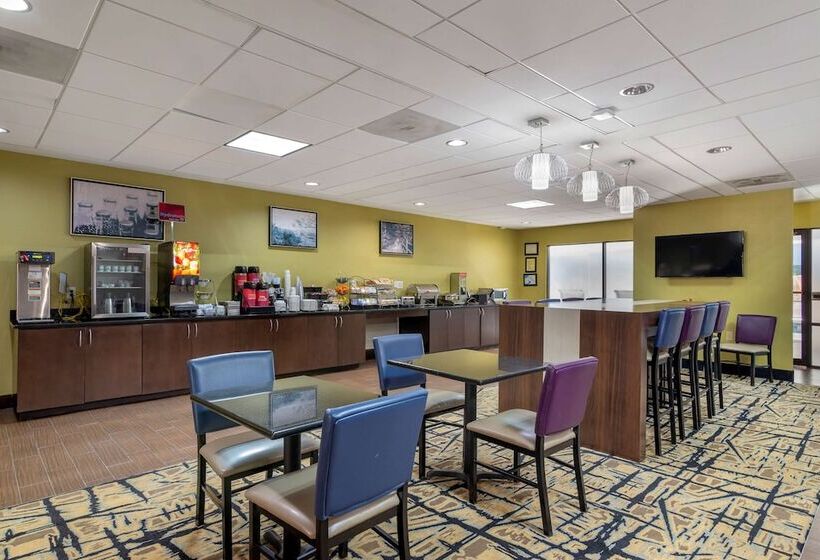 فندق Best Western Plus Mcdonough Inn & Suites