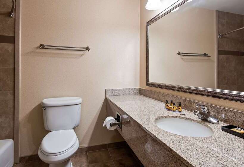 Отель Best Western Plus North Canton Inn & Suites