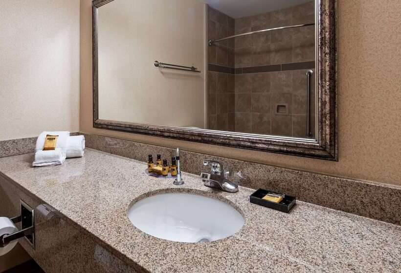 Отель Best Western Plus North Canton Inn & Suites