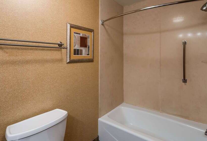 Отель Best Western Plus North Canton Inn & Suites