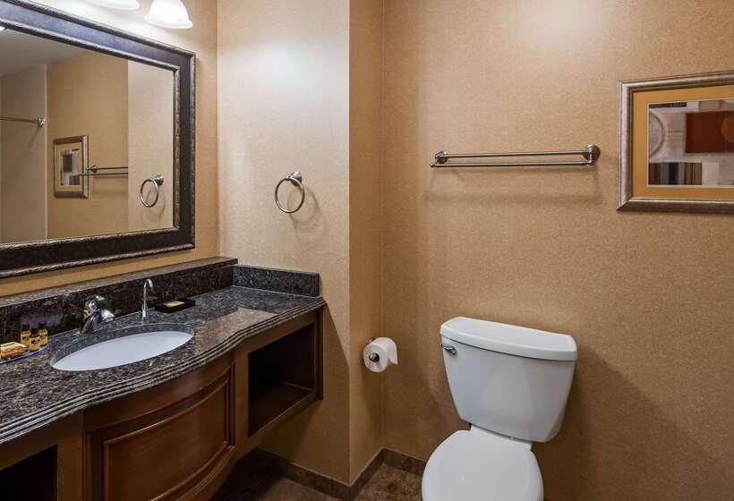 Отель Best Western Plus North Canton Inn & Suites