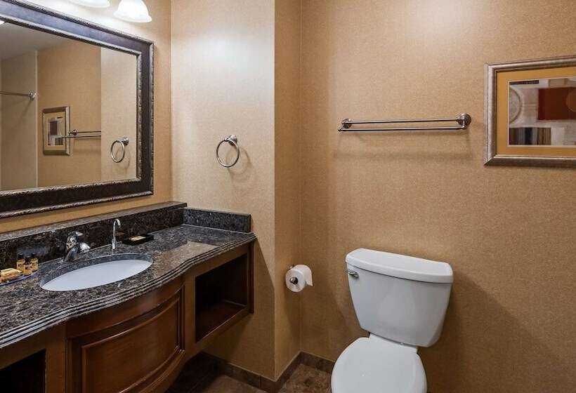 Отель Best Western Plus North Canton Inn & Suites