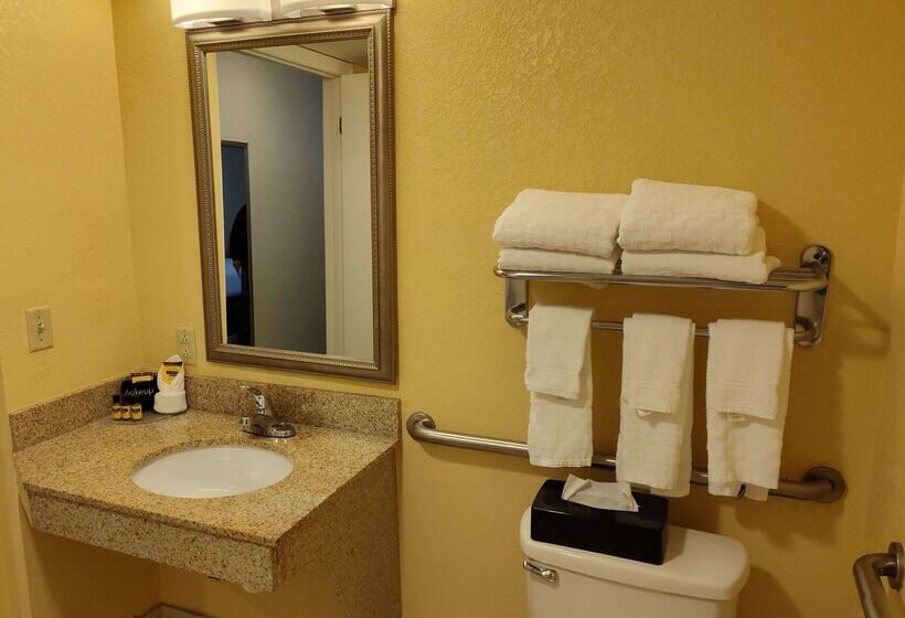 ホテル Best Western Plus Oak Mountain Inn