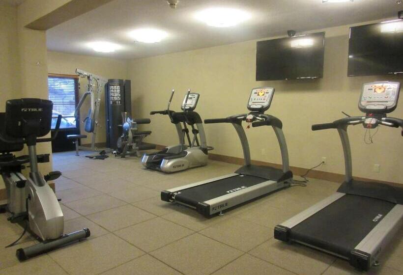 فندق Best Western Plus Olympic Inn