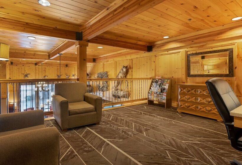 فندق Best Western Plus Olympic Inn