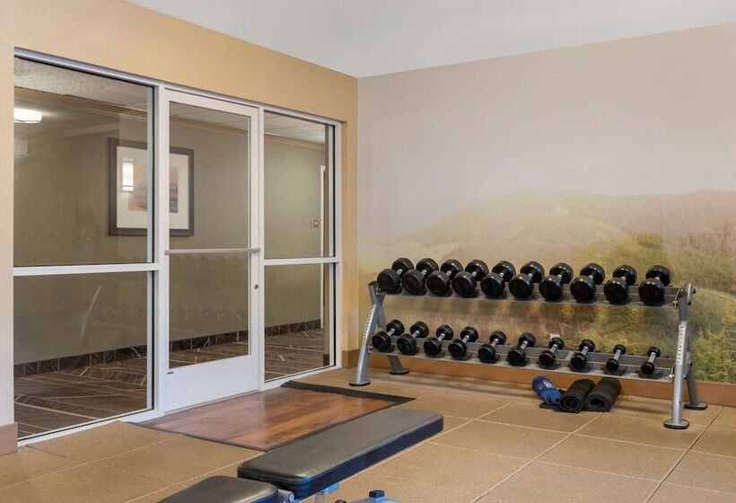 فندق Best Western Plus Olympic Inn