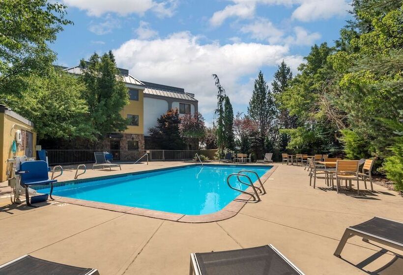 فندق Best Western Plus Olympic Inn