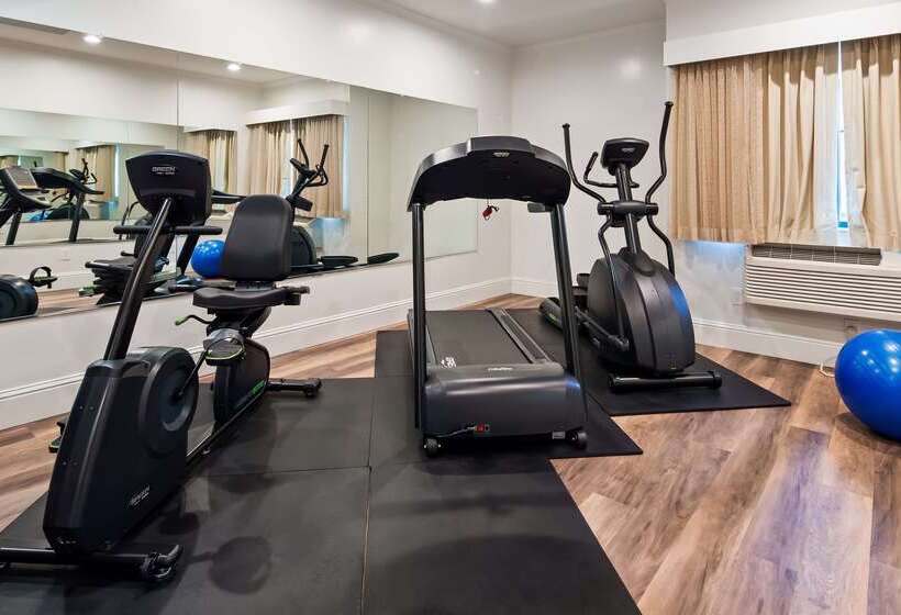 호텔 Best Western Plus Palm Court