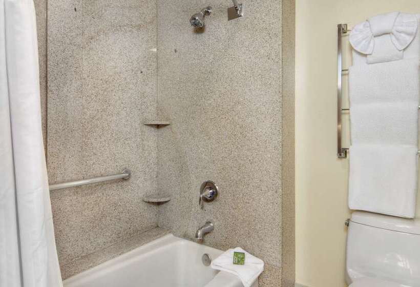 فندق Best Western Plus Palm Court