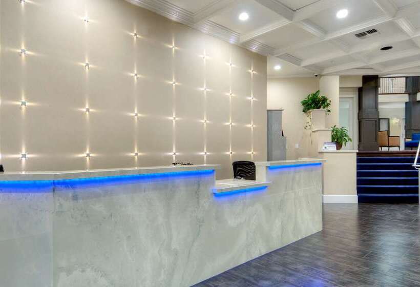 ホテル Best Western Plus Palm Court